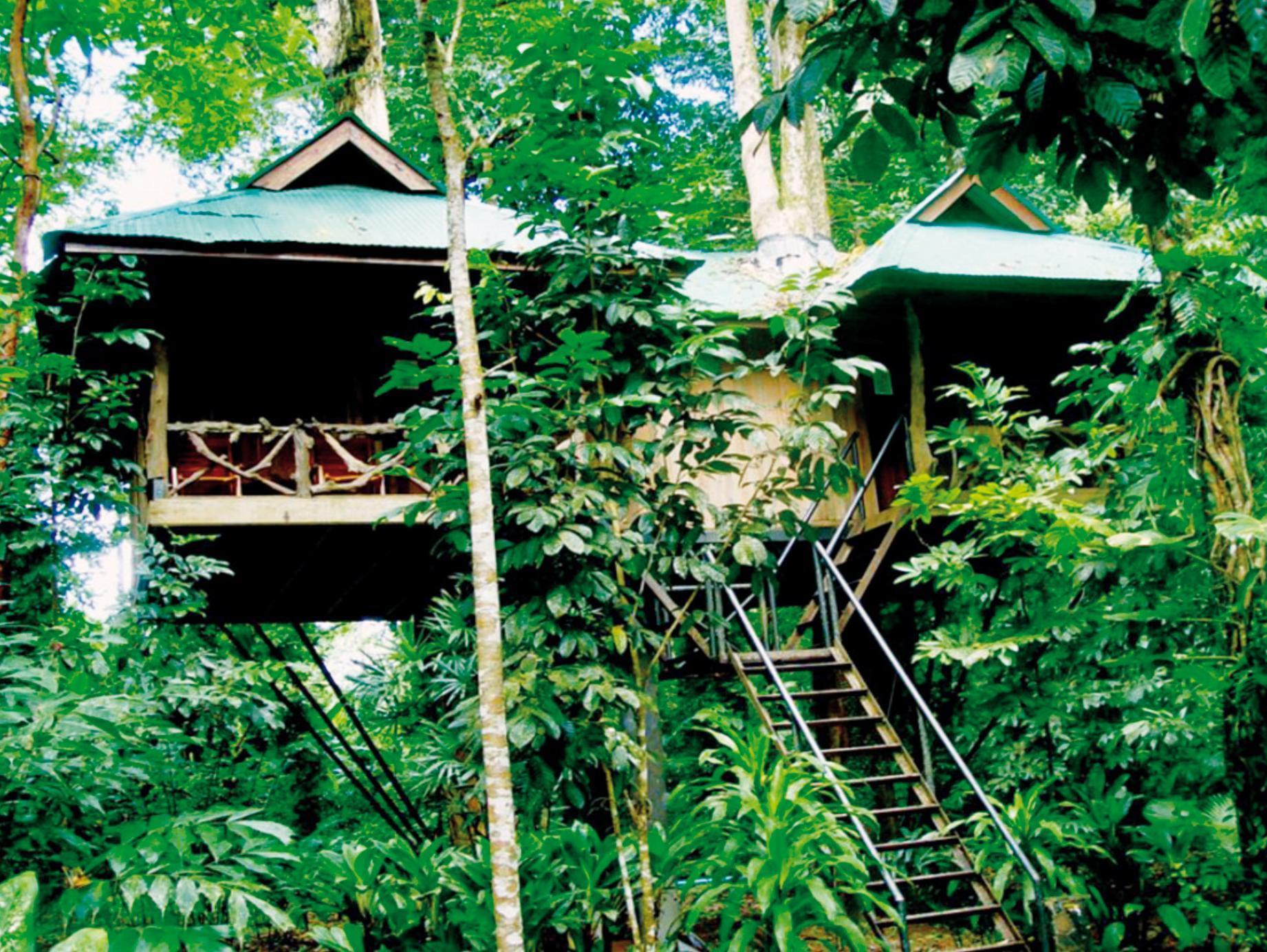 Khao Sok Nature Resort Khao Sok National Park Exterior photo